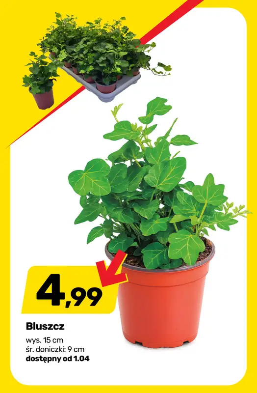 Bricomarche - gazetka promocyjna Powiew wiosny na tarasie! od środy 01.04 do soboty 04.04 - strona 10