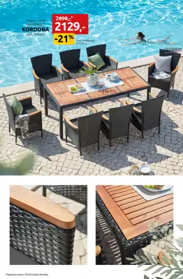 Black Red White - gazetka promocyjna Twój ogród taki jak lubisz od środy 01.04 do środy 08.04 - strona 11