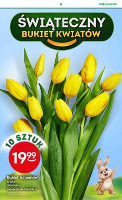 Żabka - gazetka promocyjna Gazetka Spożywcza od środy 25.03 do wtorku 07.04 - strona 17