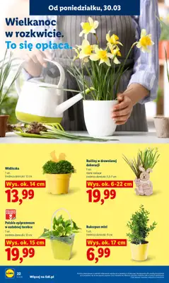 Lidl - gazetka promocyjna Oferta od poniedziałku od poniedziałku 30.03 do środy 01.04 - strona 22