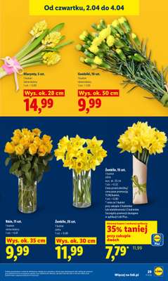 Lidl - gazetka promocyjna Oferta od czwartku od czwartku 02.04 do soboty 04.04 - strona 31