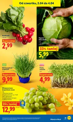 Lidl - gazetka promocyjna Oferta od czwartku od czwartku 02.04 do soboty 04.04 - strona 27