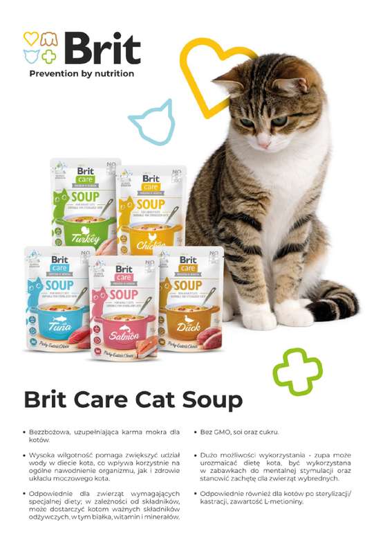 Aquael zoo - gazetka promocyjna Gazetka od czwartku 02.04 do czwartku 30.04 - strona 16