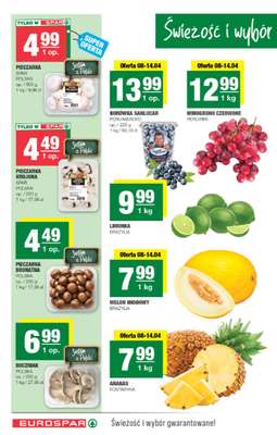 SPAR - gazetka promocyjna Gazetka Eurospar od środy 08.04 do niedzieli 19.04 - strona 2