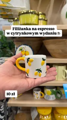 Pepco - gazetka promocyjna Zakupowe Inspiracje w Pepco od czwartku 02.04 