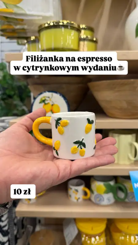 Pepco - gazetka promocyjna Zakupowe Inspiracje w Pepco  