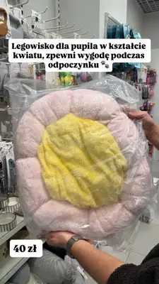 Pepco - gazetka promocyjna Zakupowe Inspiracje w Pepco od czwartku 02.04  - strona 7