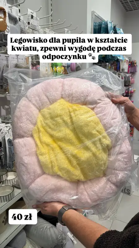 Pepco - gazetka promocyjna Zakupowe Inspiracje w Pepco od czwartku 02.04  - strona 7