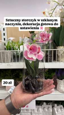 Pepco - gazetka promocyjna Zakupowe Inspiracje w Pepco od poniedziałku 06.04  - strona 10