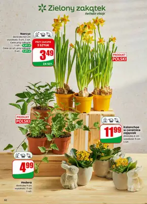 Dino - gazetka promocyjna Gazetka 14 / 2026 od środy 01.04 do wtorku 07.04 - strona 61