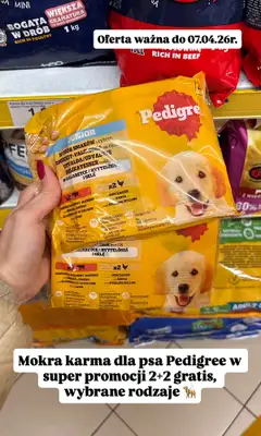 Dino - gazetka promocyjna Zakupowe inspiracje w Dino od soboty 04.04  - strona 11