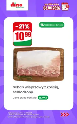 Dino - gazetka promocyjna Specjalna oferta na 03.04.2026 - promocje spoza gazetki od piątku 03.04 do piątku 03.04 - strona 7
