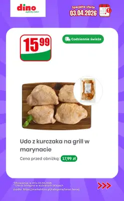 Dino - gazetka promocyjna Specjalna oferta na 03.04.2026 - promocje spoza gazetki od piątku 03.04 do piątku 03.04 - strona 9