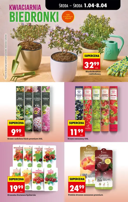 Biedronka - gazetka promocyjna Od środy, Z ladą tradycyjną od środy 01.04 do wtorku 07.04 - strona 85