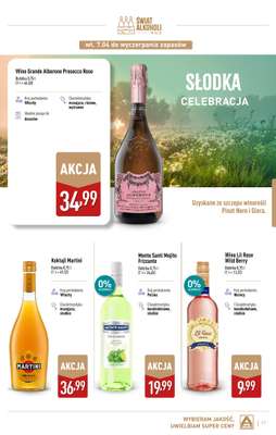 Aldi - gazetka promocyjna Świat alkoholi w Aldi od wtorku 07.04 do soboty 02.05 - strona 17