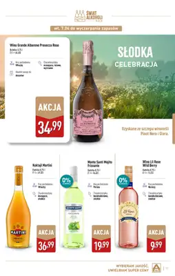 Aldi - gazetka promocyjna Świat alkoholi w Aldi od wtorku 07.04 do soboty 02.05 - strona 17