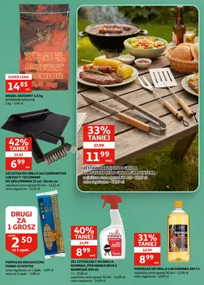 Auchan - gazetka promocyjna Gazetka Zielona Góra | Grill i wiosenny chill od wtorku 07.04 do wtorku 21.04 - strona 3