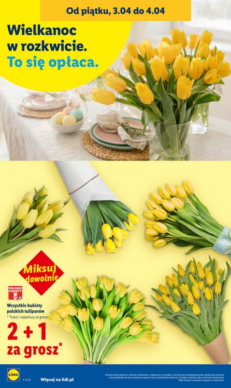 Lidl - gazetka promocyjna Oferta od czwartku od czwartku 02.04 do soboty 04.04 - strona 34