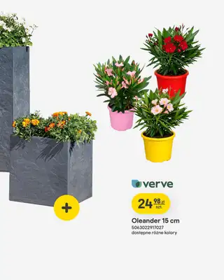 Castorama - gazetka promocyjna Ogród od wtorku 07.04 do wtorku 21.04 - strona 5