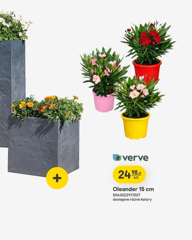 Castorama - gazetka promocyjna Ogród od wtorku 07.04 do wtorku 21.04 - strona 5