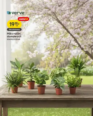 Castorama - gazetka promocyjna Ogród od wtorku 07.04 do wtorku 21.04 - strona 7