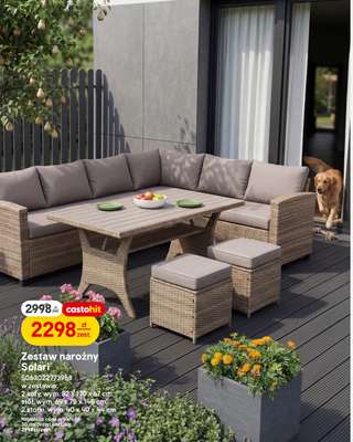 Castorama - gazetka promocyjna Ogród od wtorku 07.04 do wtorku 21.04 - strona 29