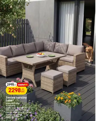 Castorama - gazetka promocyjna Ogród od wtorku 07.04 do wtorku 21.04 - strona 29