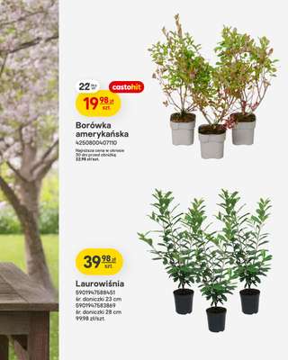 Castorama - gazetka promocyjna Ogród od wtorku 07.04 do wtorku 21.04 - strona 8