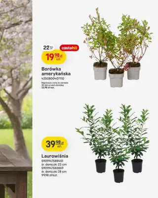 Castorama - gazetka promocyjna Ogród od wtorku 07.04 do wtorku 21.04 - strona 8