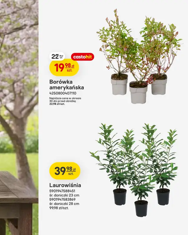 Castorama - gazetka promocyjna Ogród od wtorku 07.04 do wtorku 21.04 - strona 8