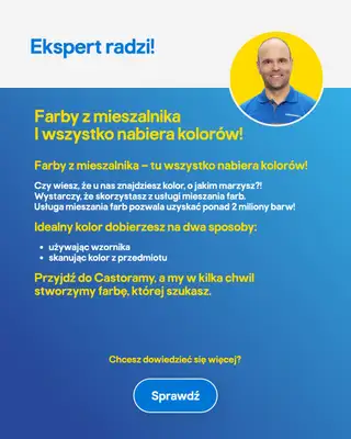 Castorama - gazetka promocyjna Remont i budowa od wtorku 07.04 do wtorku 21.04 - strona 7