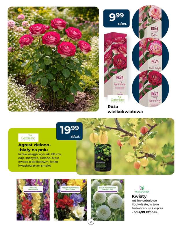 PSB Mrówka - gazetka promocyjna Gazetka od czwartku 09.04 do soboty 18.04 - strona 2