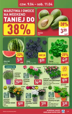 Aldi - gazetka promocyjna Pełny katalog! od wtorku 07.04 do soboty 11.04 - strona 33