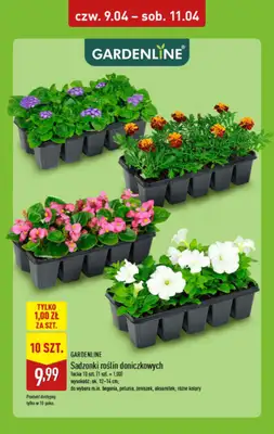 Aldi - gazetka promocyjna Weekend super cen w Aldi! od czwartku 09.04 do soboty 11.04 - strona 8