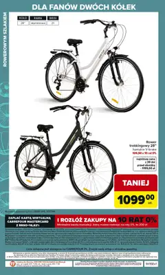 Carrefour - gazetka promocyjna Gazetka Ogród, gdzie kwitnie życie od wtorku 07.04 do soboty 02.05 - strona 32