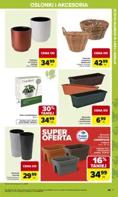 Carrefour - gazetka promocyjna Gazetka Ogród, gdzie kwitnie życie od wtorku 07.04 do soboty 02.05 - strona 11