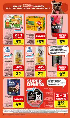 Carrefour Market - gazetka promocyjna Gazetka ZOO kątek od wtorku 07.04 do soboty 18.04 - strona 9