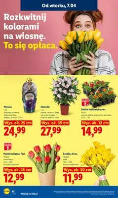 Lidl - gazetka promocyjna Oferta od wtorku od wtorku 07.04 do środy 08.04 - strona 46