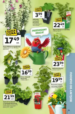 Auchan - gazetka promocyjna Gazetka 30 Lat Hipermarket Auchan od czwartku 09.04 do środy 15.04 - strona 9