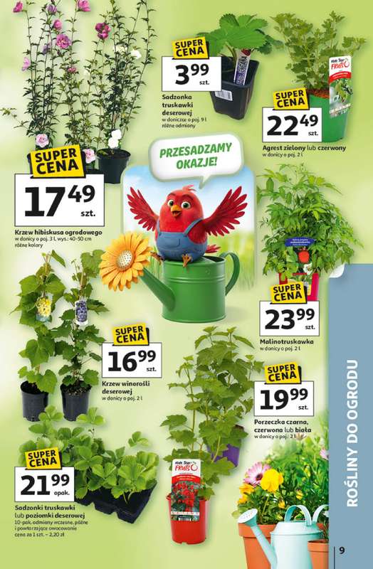 Auchan - gazetka promocyjna Gazetka 30 Lat Hipermarket Auchan od czwartku 09.04 do środy 15.04 - strona 9