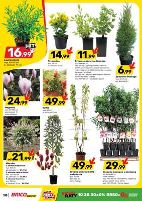 Bricomarche - gazetka promocyjna Gazetka  do soboty 18.04 - strona 10