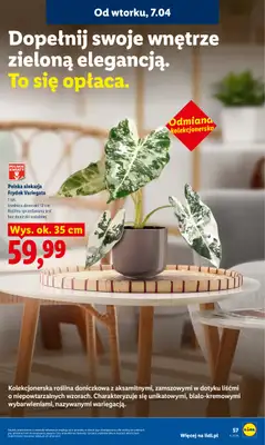 Lidl - gazetka promocyjna Oferta od wtorku od wtorku 07.04 do środy 08.04 - strona 59