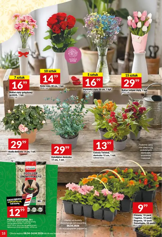 Twój Market - gazetka promocyjna Gazetka od środy 08.04 do wtorku 14.04 - strona 18