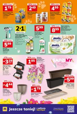 Hitpol - gazetka promocyjna Gazetka  do niedzieli 19.04 - strona 11