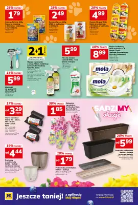 Hitpol - gazetka promocyjna Gazetka  do niedzieli 19.04 - strona 11