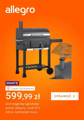 Allegro - gazetka promocyjna Sezon na grilla rozpoczęty od wtorku 07.04 do poniedziałku 13.04 - strona 3