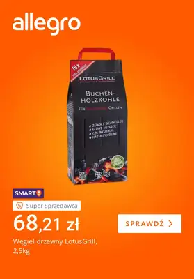 Allegro - gazetka promocyjna Sezon na grilla rozpoczęty od wtorku 07.04 do poniedziałku 13.04 - strona 2