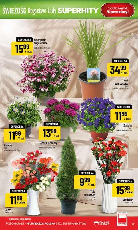 POLOmarket - gazetka promocyjna Gazetka od środy 08.04 do wtorku 14.04 - strona 13