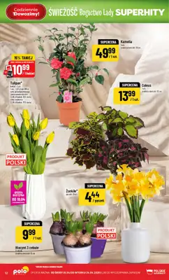 POLOmarket - gazetka promocyjna Gazetka od środy 08.04 do wtorku 14.04 - strona 12