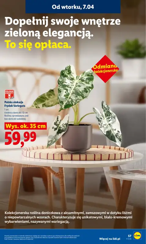 Lidl - gazetka promocyjna Oferta od wtorku od wtorku 07.04 do środy 08.04 - strona 59